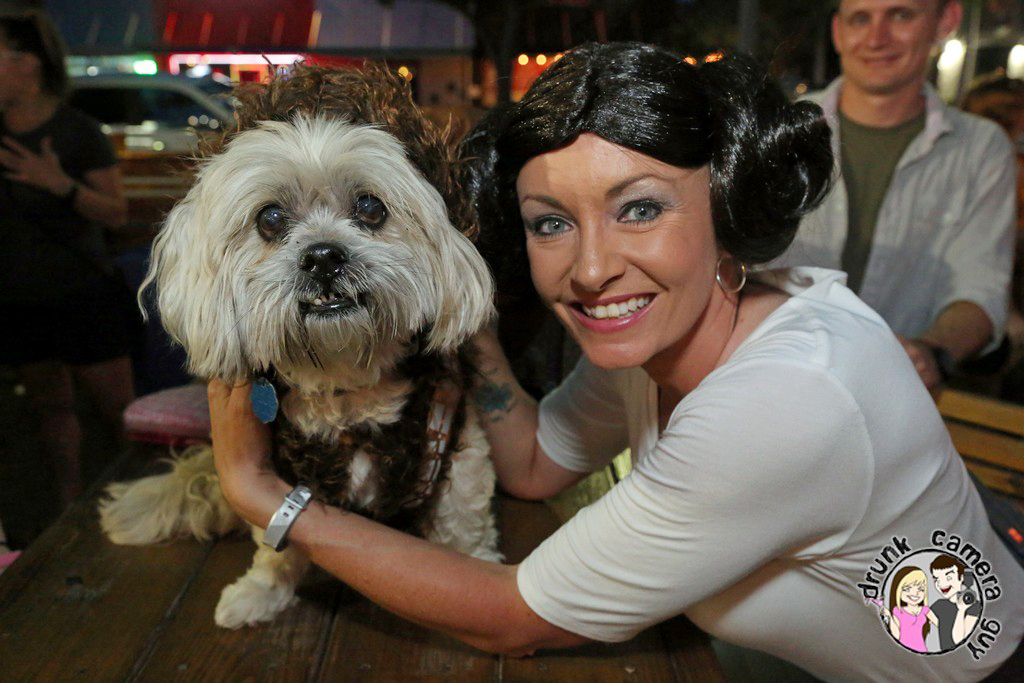 Dog Bar: Party for the Paws