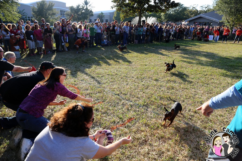 Highland Park: Dogtoberfest