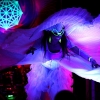 img_6458x