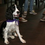 img_6092x