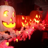 img_8298x