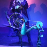 img_9524x