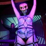 img_0954x