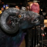 img_5325x